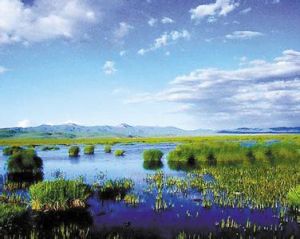 若爾蓋沼澤 若爾蓋沼澤