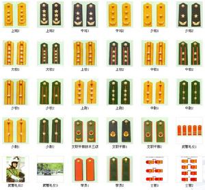 武警99式警銜式樣