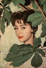 克里斯汀&middot;考夫曼