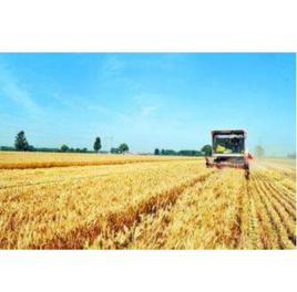 河南省農機局 河南省農機局