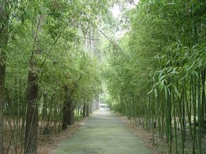 竹子博覽園
