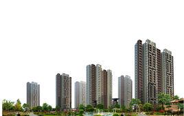 南陽盛世 南陽盛世