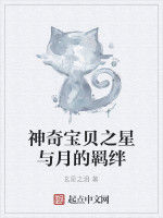 神奇寶貝之星與月的羈絆 神奇寶貝之星與月的羈絆