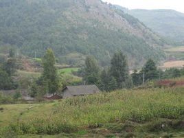 老方箐自然村 老方箐自然村