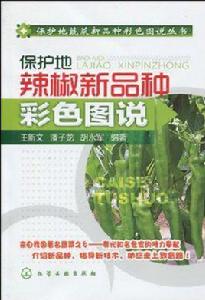 保護地辣椒新品種彩色圖說 保護地辣椒新品種彩色圖說