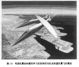 斜置飛翼 斜置飛翼