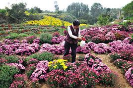 暖水面村 暖水面村