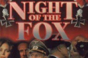 夜間的狐狸 夜間的狐狸