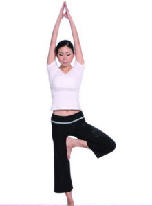 瘦身瑜伽 瘦身瑜伽