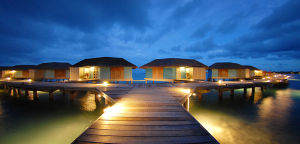 馬累皇家薩爾薩餐館