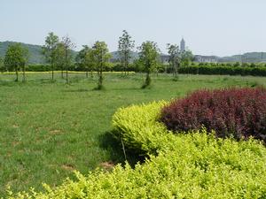 紹興托普信息職業技術學院