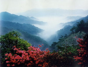 陽明山自然保護區 陽明山自然保護區