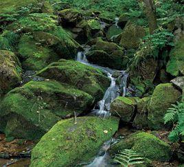 瑚布圖河 瑚布圖河