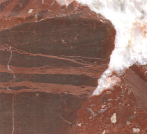 卡士紅 | Red Kashi |