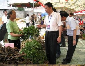 靖西壯族端午藥市