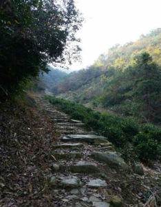 檀溪古道 檀溪古道