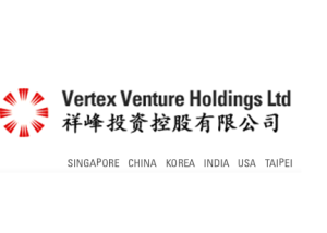 祥峰投資控股有限公司