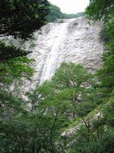 朱雀國家森林公園