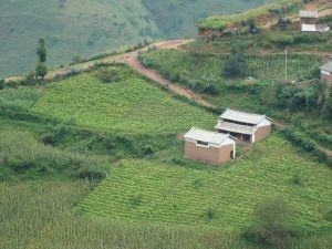 老鷹坡自然村 老鷹坡自然村