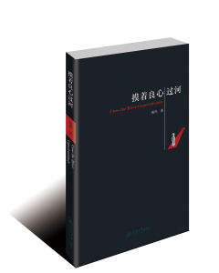 這是一本“異論”，一本專談政治問題的時事雜文集。全書文章以批判官僚腐敗、督促真心改革、體恤民情冷暖為主線，試圖說明，在當前國情下，為官者的良心很多時候其實比法制更重要。本書從歷史談到現實，以一個個活生生的事例告誡人們：做人與做官，都要時刻摸摸良心。古往今來，許多官員只要神經系統出點問題（譬如過度敏感、過度麻木），往往會給黎民百姓帶來巨大麻煩，甚至導致百姓家破人亡……