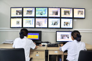 美國尼高力64導、128導視頻腦電檢測系統