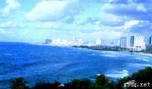 以色列特種作戰部隊