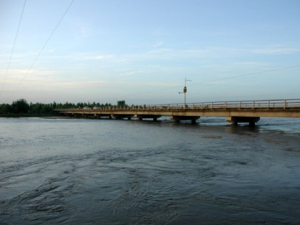 葉爾羌河流域濕地