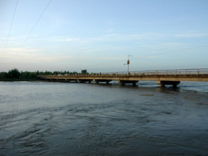 葉爾羌河流域濕地