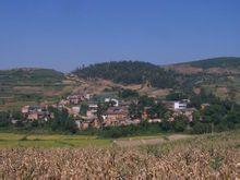 王家莊村[雲南省昆明市石林縣路美邑鎮王家莊村]
