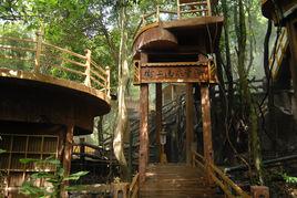 樹上溫泉 樹上溫泉