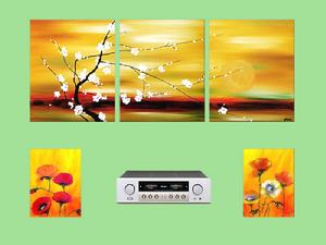 平板音響適用範圍