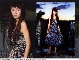 一夢千尋[袁泉演唱歌曲]