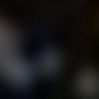 IC 4994 RASS 彩色圖