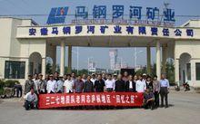 羅河鎮[安徽省廬江縣轄鎮]