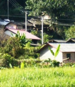 田頭自然村 田頭自然村