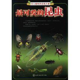 最可愛的昆蟲 最可愛的昆蟲