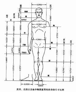 認識人體工程學 認識人體工程學