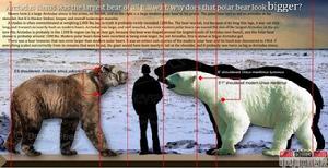 更新世北極熊與短面熊大小比較