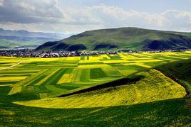 漳州平原 漳州平原