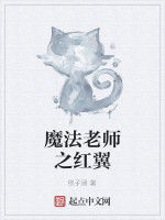 魔法老師之紅翼 魔法老師之紅翼