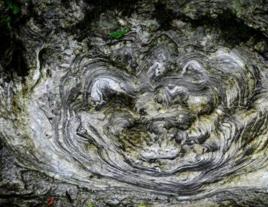 石花[重慶地理自然現象]