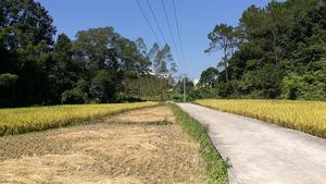 美沙村&middot;自然景觀