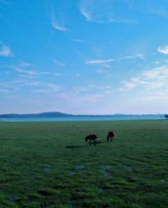 蒙古高原 蒙古高原