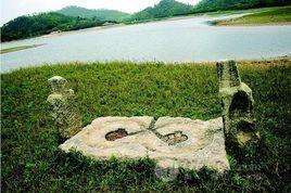 黃洞村[廣東省東莞市鳳崗鎮下轄村]