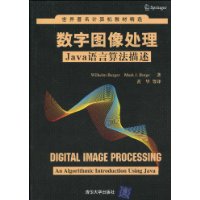 Java語言算法描述