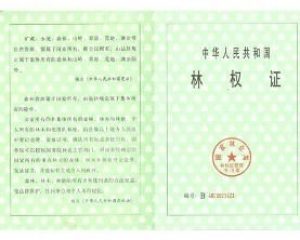 林權證 林權證