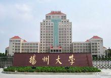 金輪&middot;觀湖國際周邊及項目外景