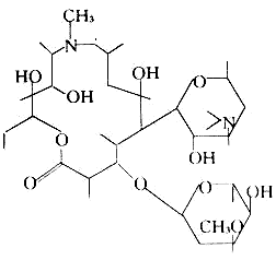 大環內酯 大環內酯