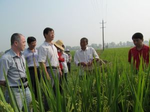 慶豐崗村 慶豐崗村