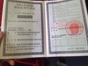 組織代碼 組織代碼